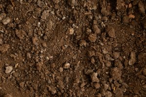 Compactação do Sol